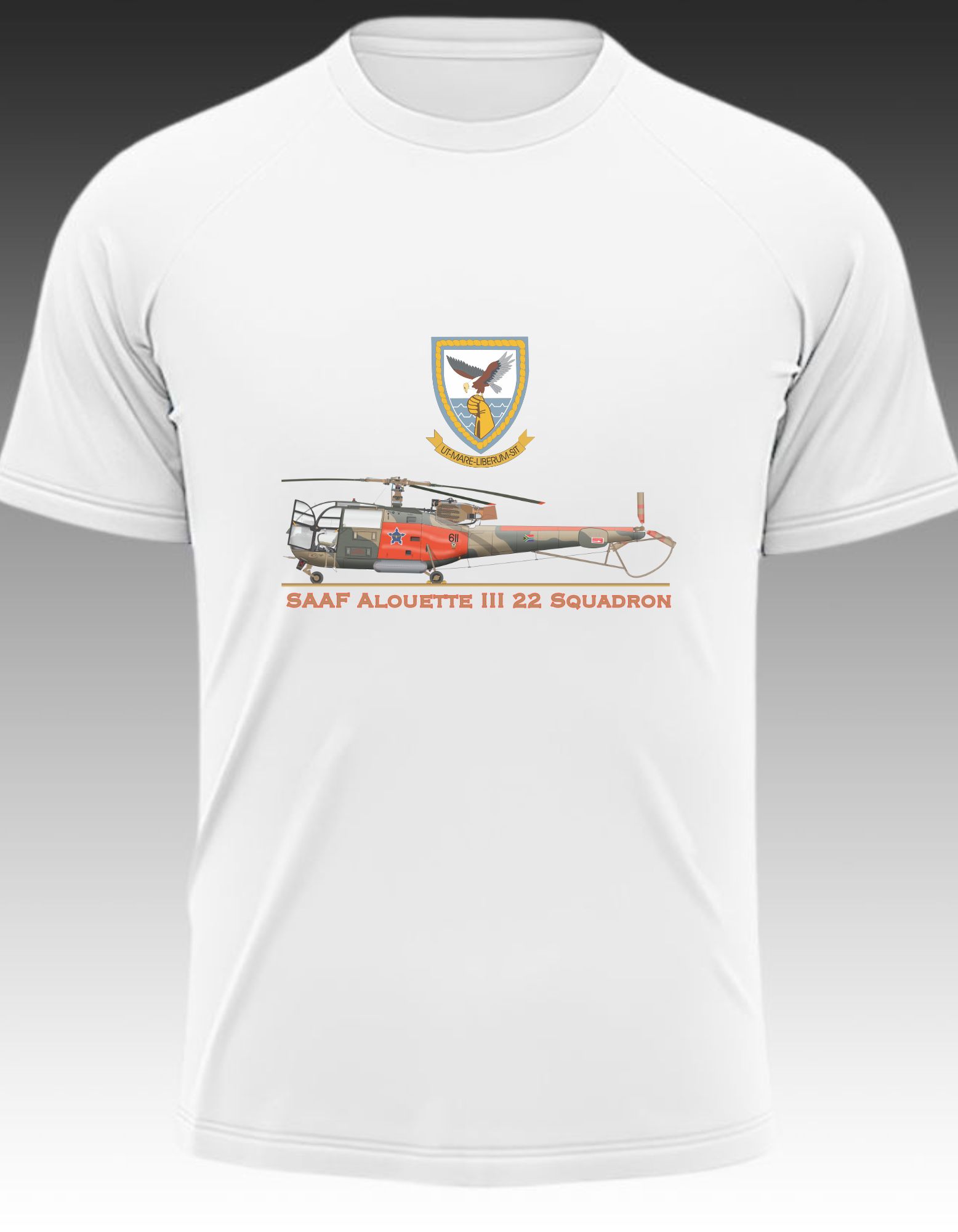 SAAF Alouette III 22 Squadron