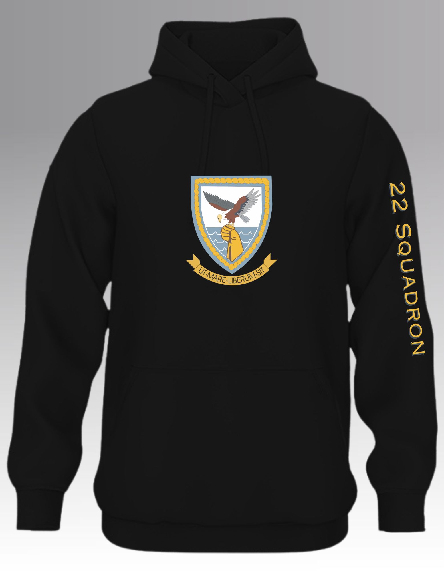 22 Squadron SAAF Hoodie