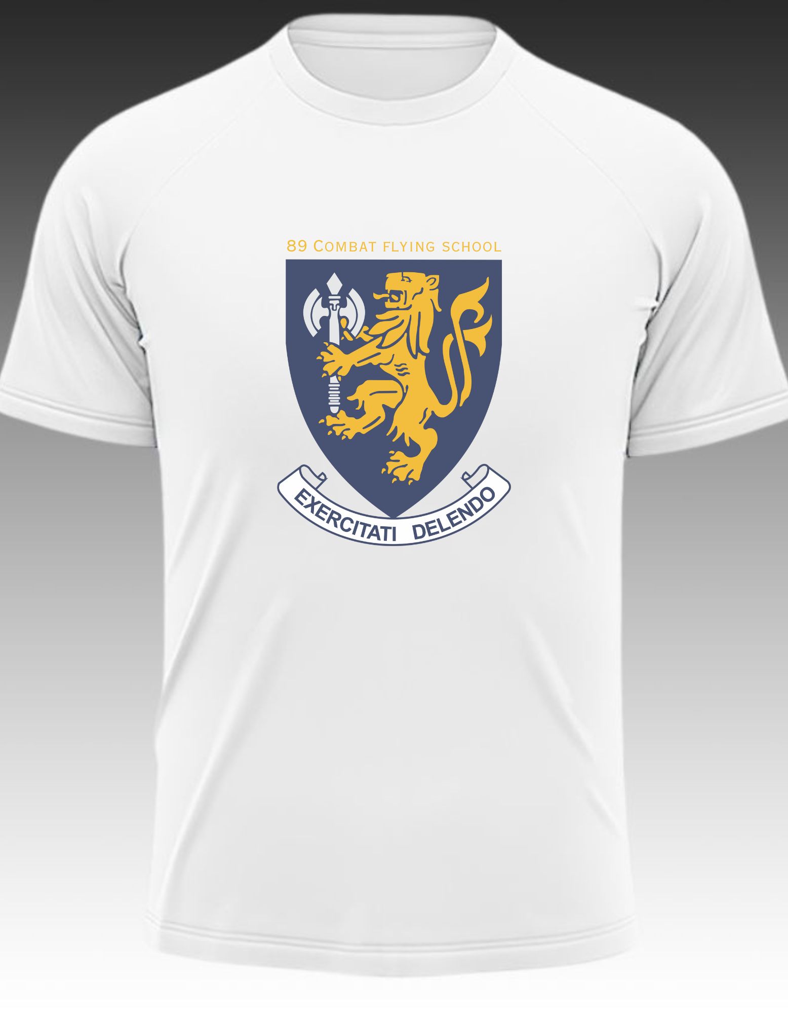 89 Combat Flying school