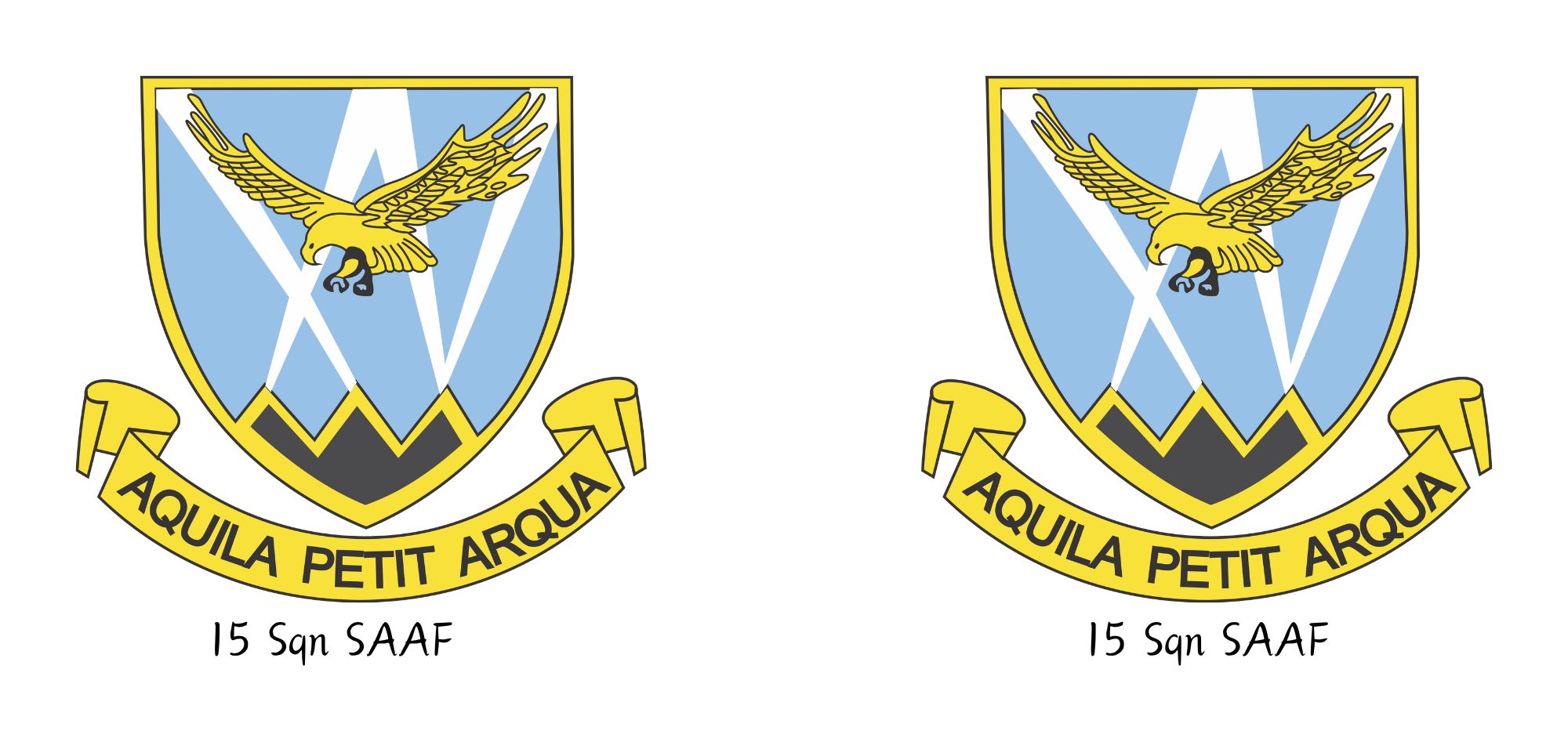 15 Sqdn SAAF mug