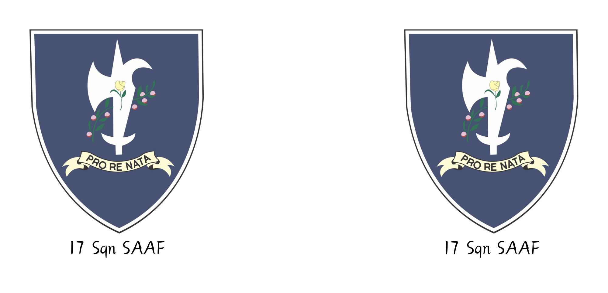 17 Sqdn SAAF mug