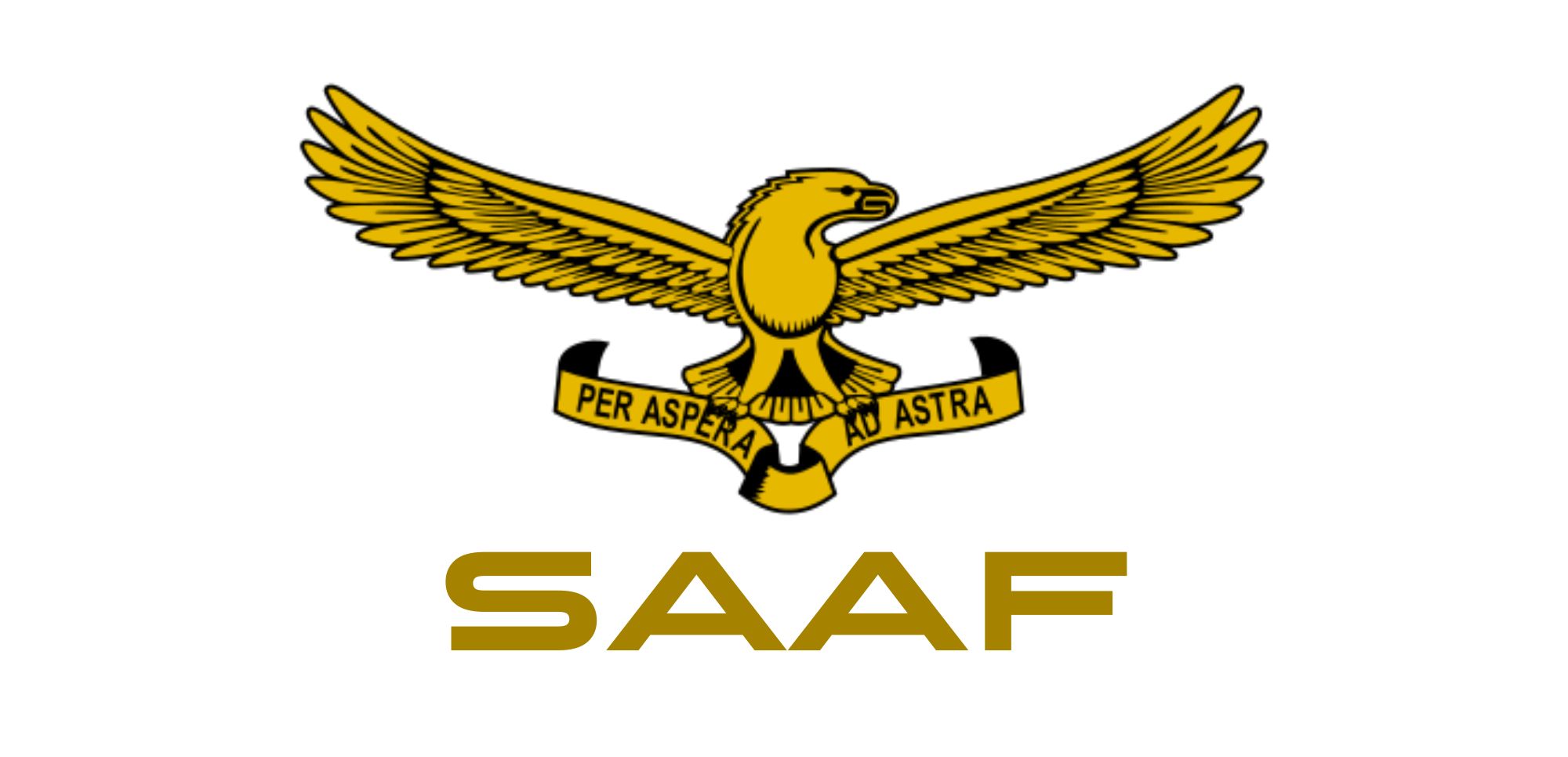 SAAF Eagle mug