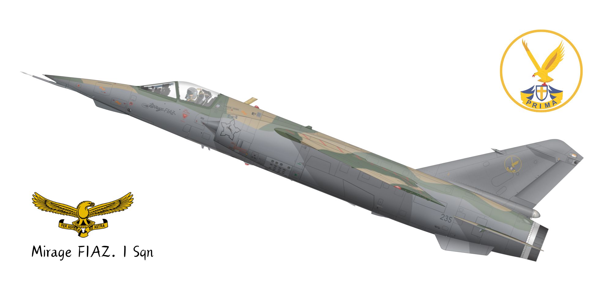 Mirage F1AZ last camo mug