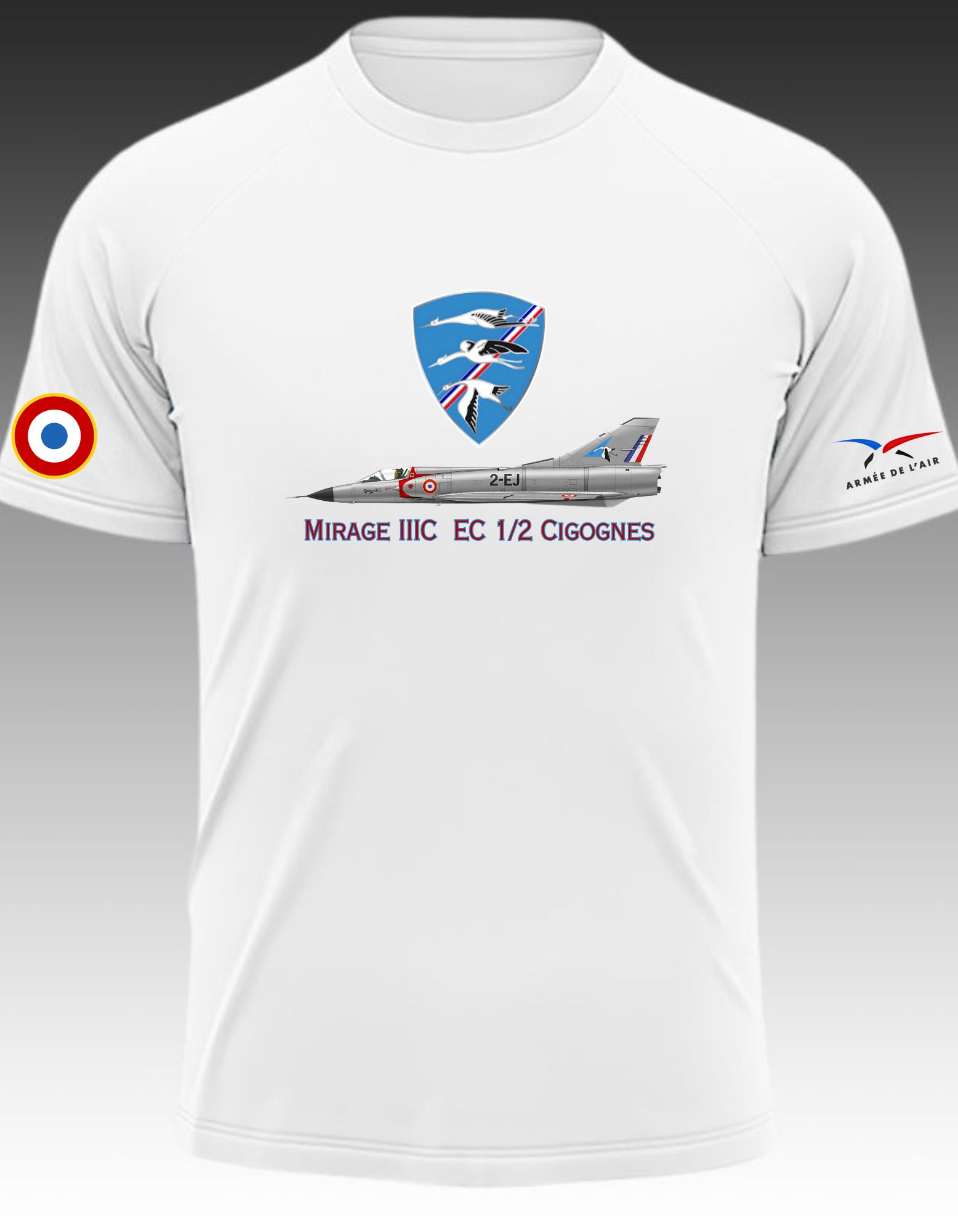 Mirage IIIC  EC 12 Cigognes