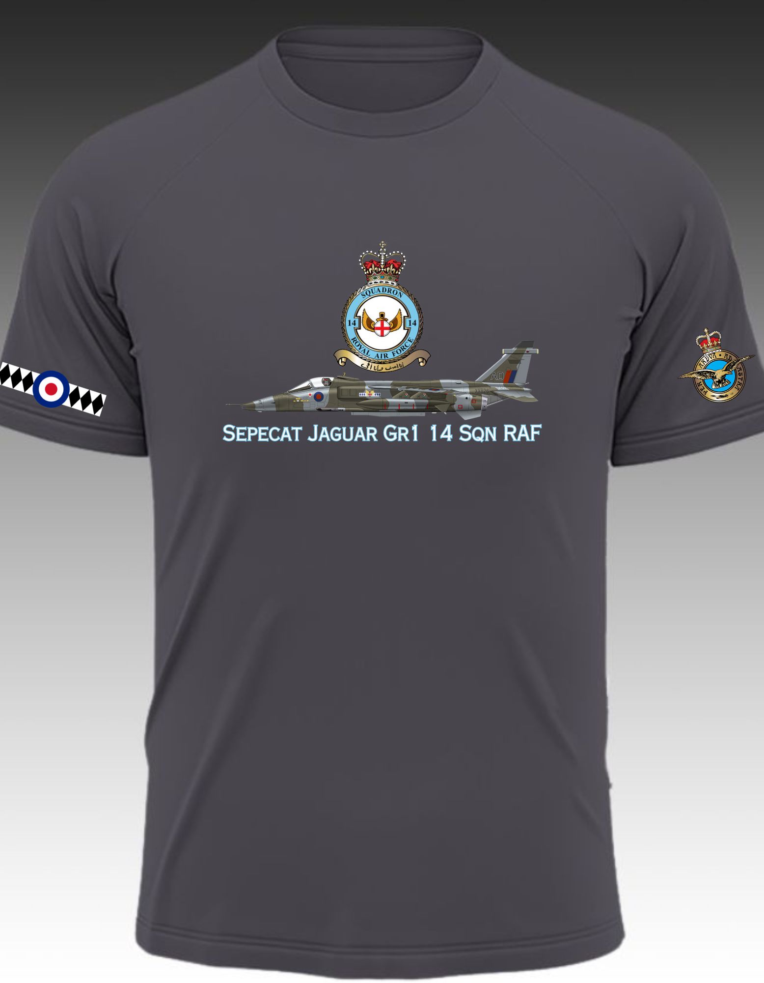 Sepecat Jaguar Gr1 14 Sqn RAF