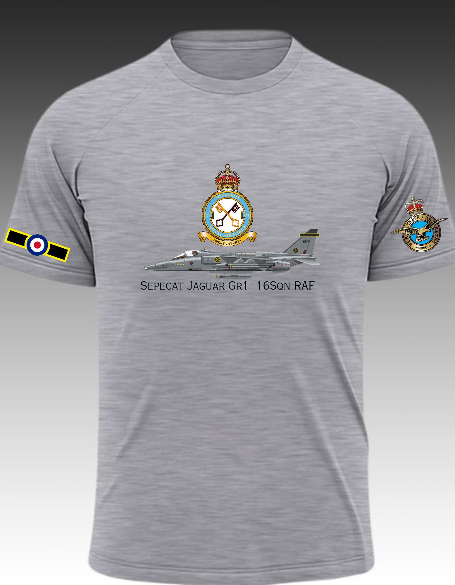 Sepecat Jaguar Gr1  16Sqn RAF