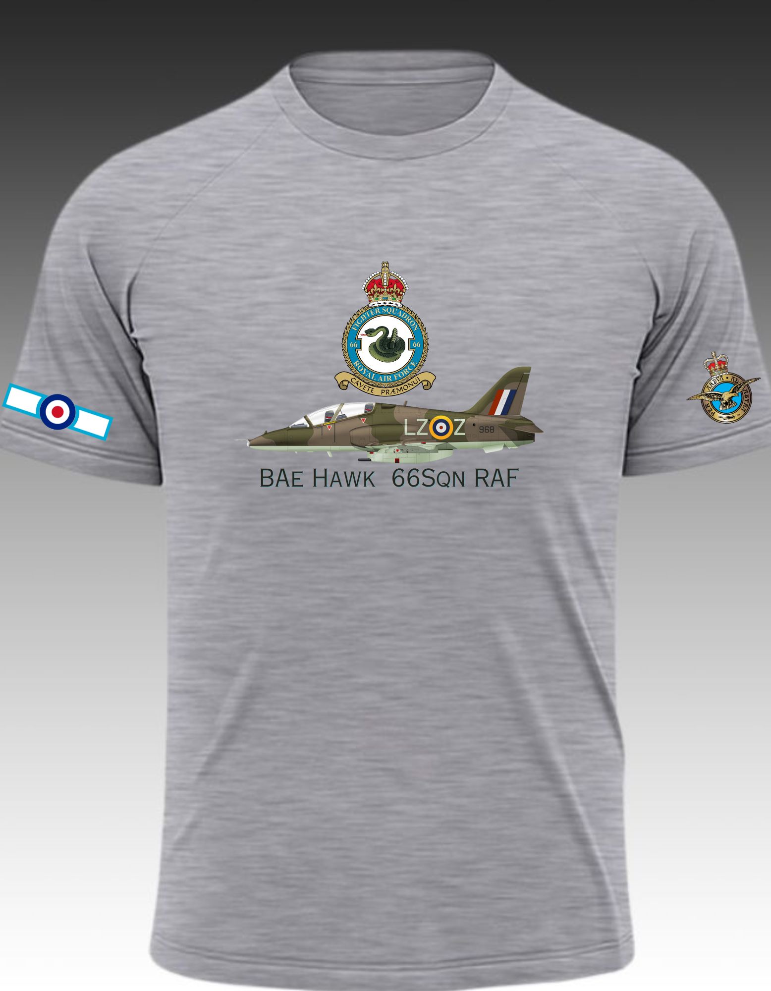BAe Hawk  66Sqn RAF