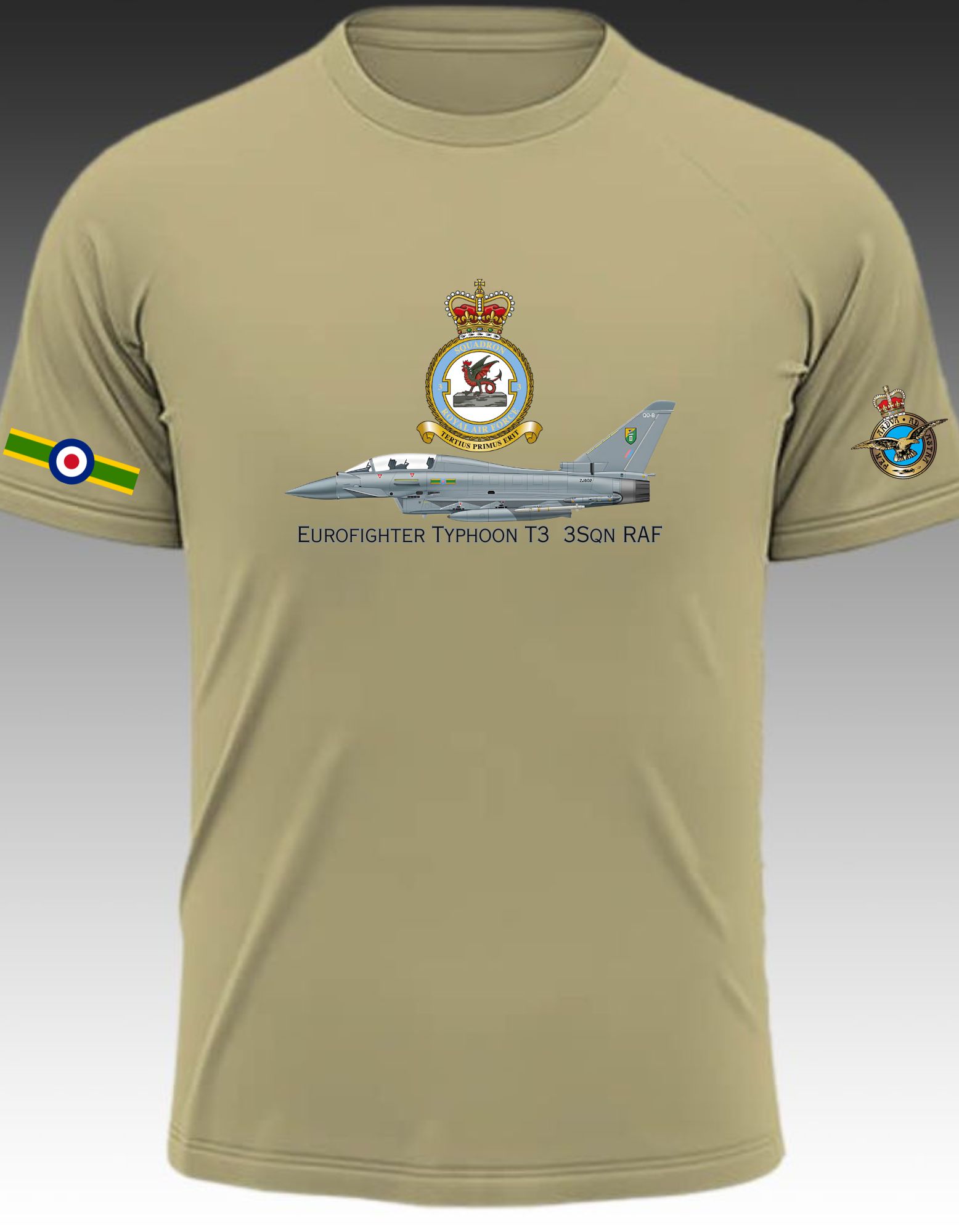 Eurofighter Typhoon T3  3Sqn RAF