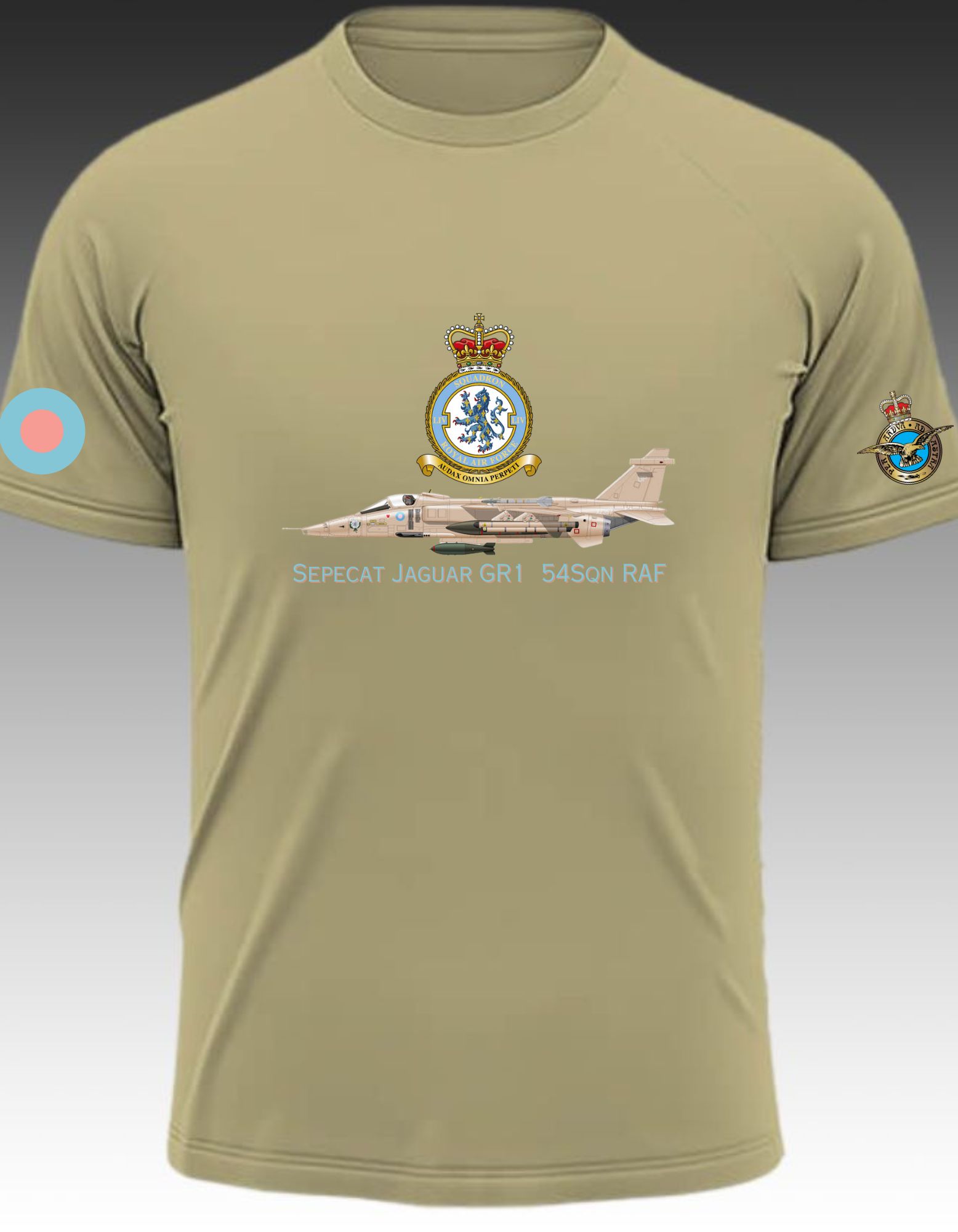 Sepecat Jaguar GR1  54Sqn RAF