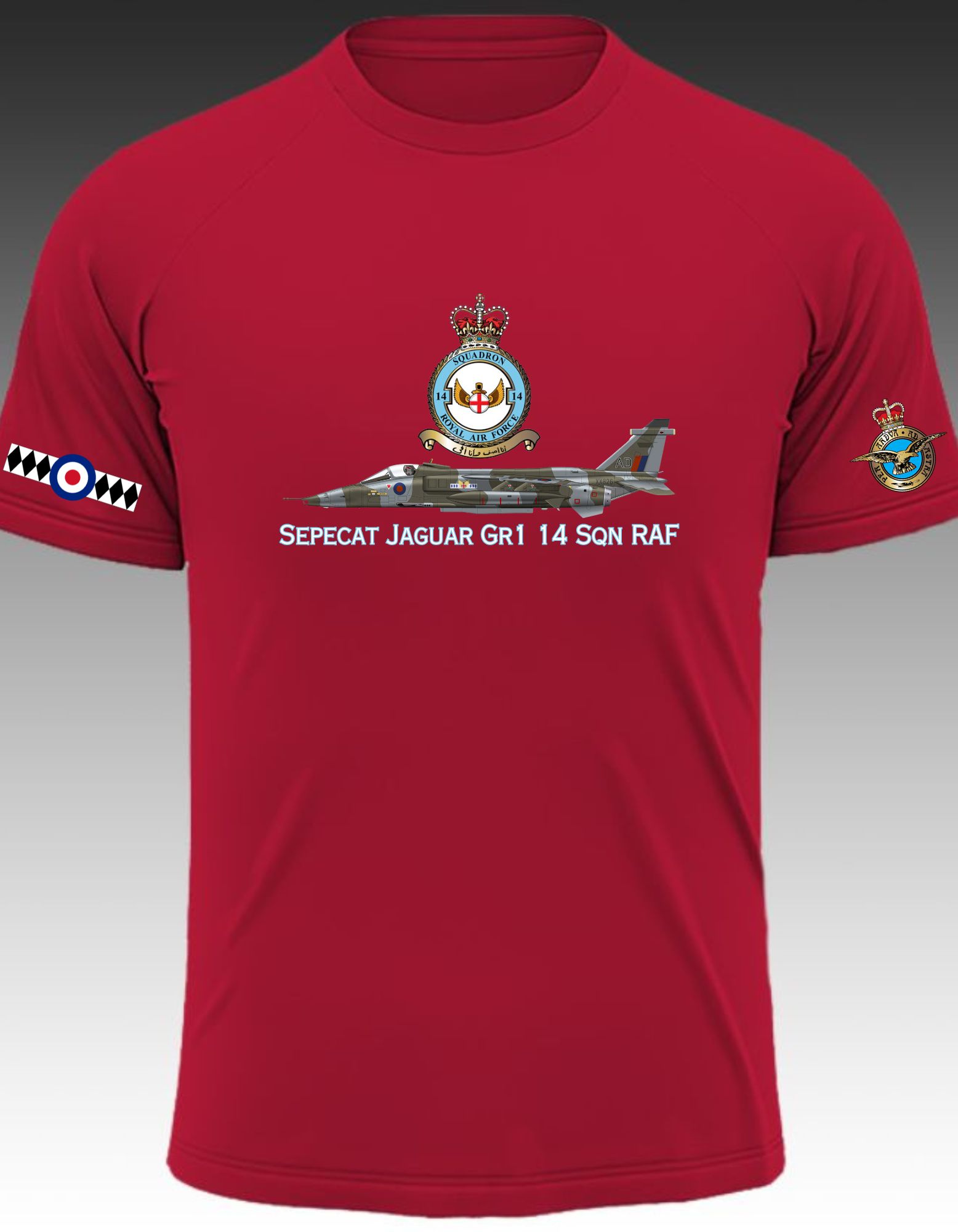 Sepecat Jaguar Gr1 14 Sqn RAF