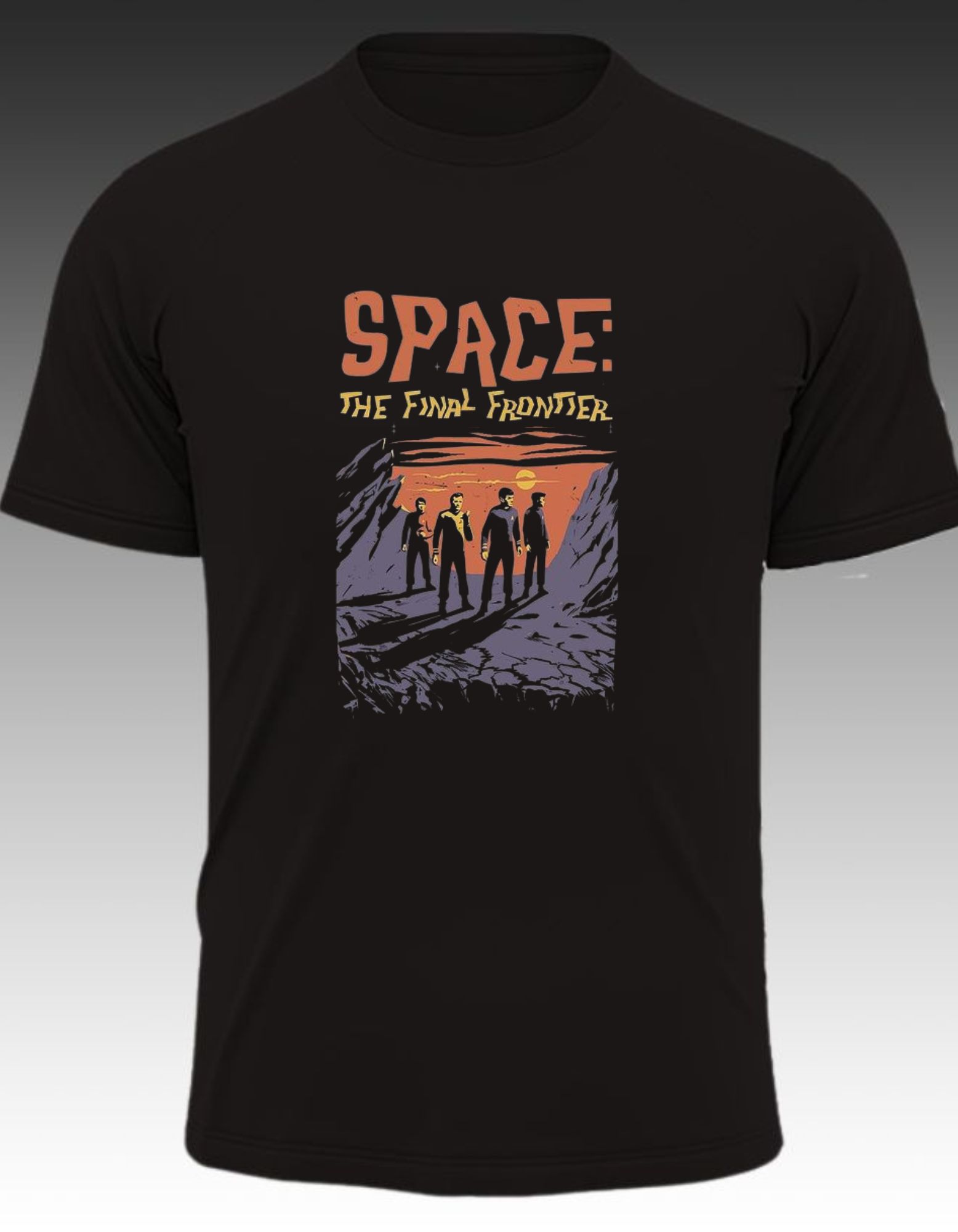 Space the final frontier