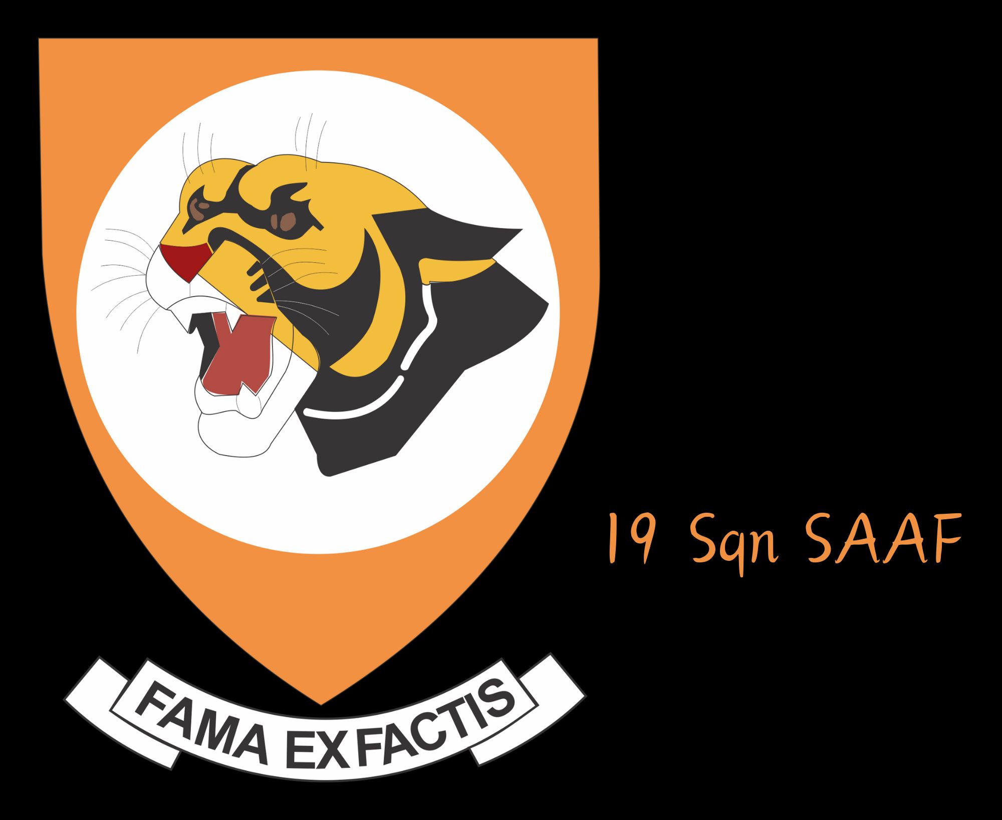 19 Sqn SAAF mouse pad