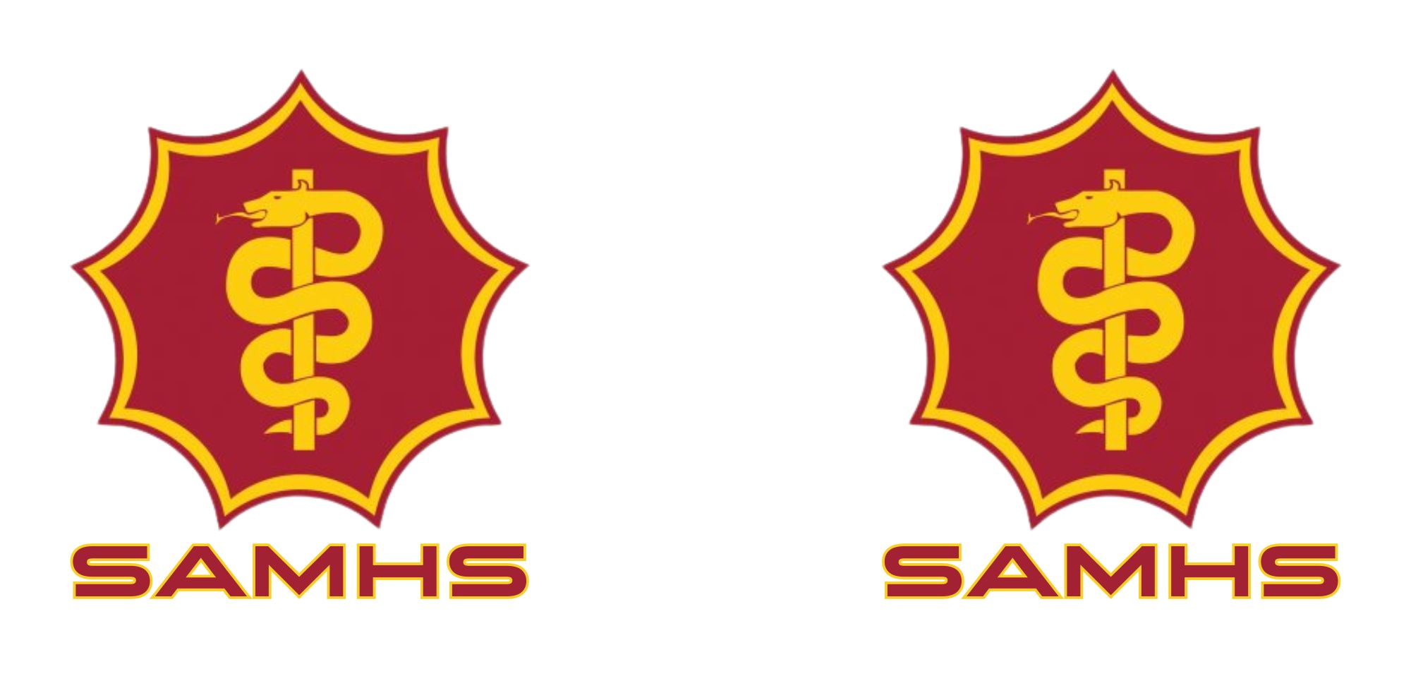SAMHS mug