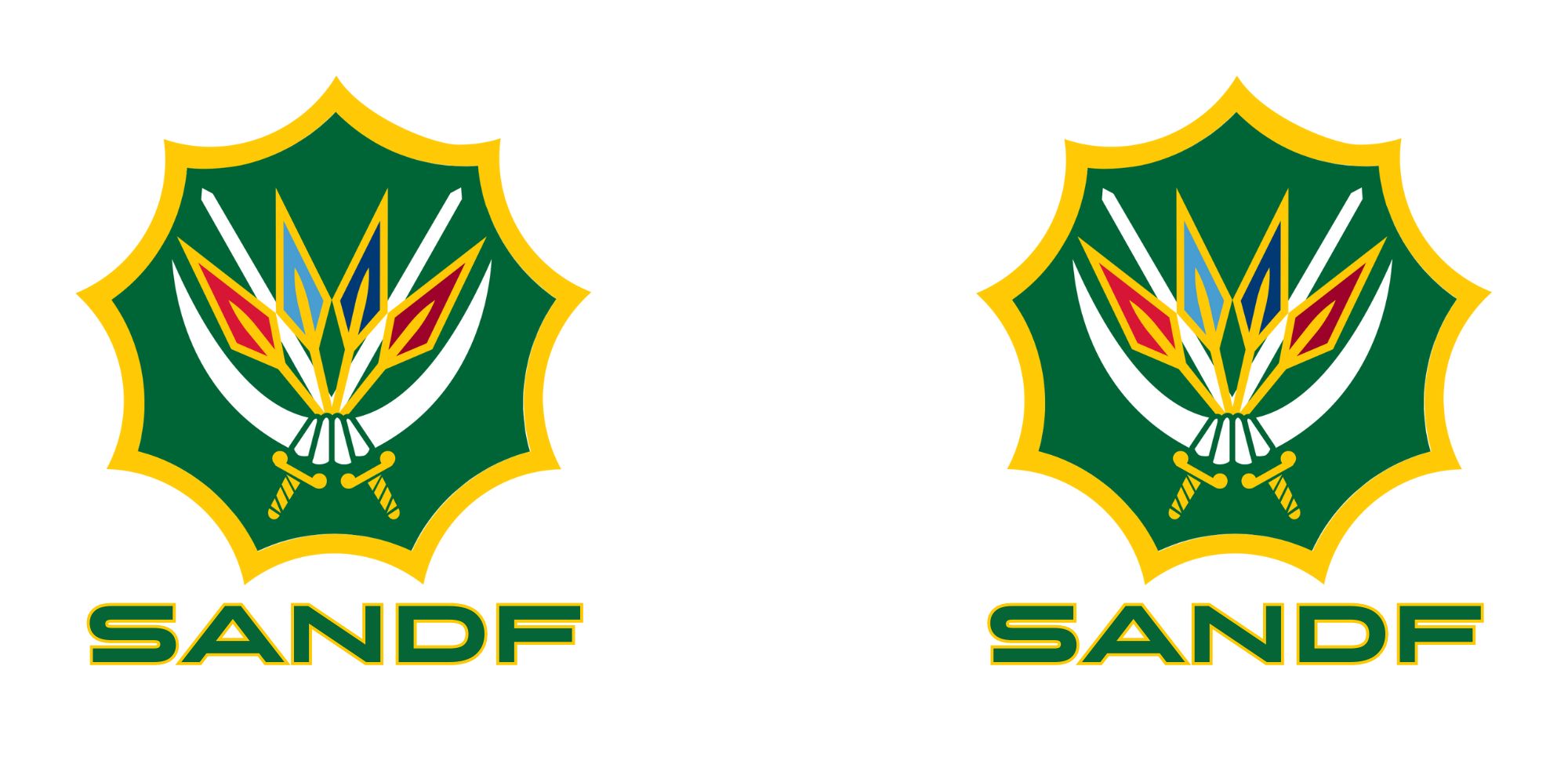 SANDF mug