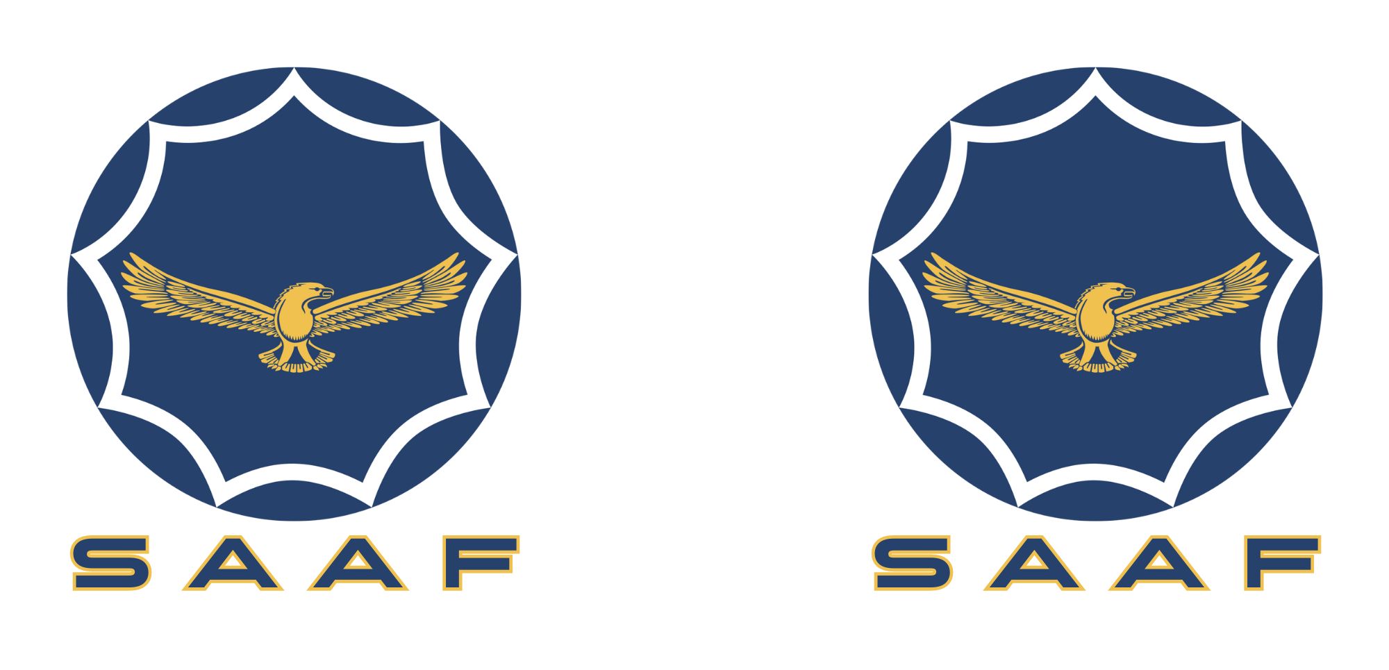 SAAF mug