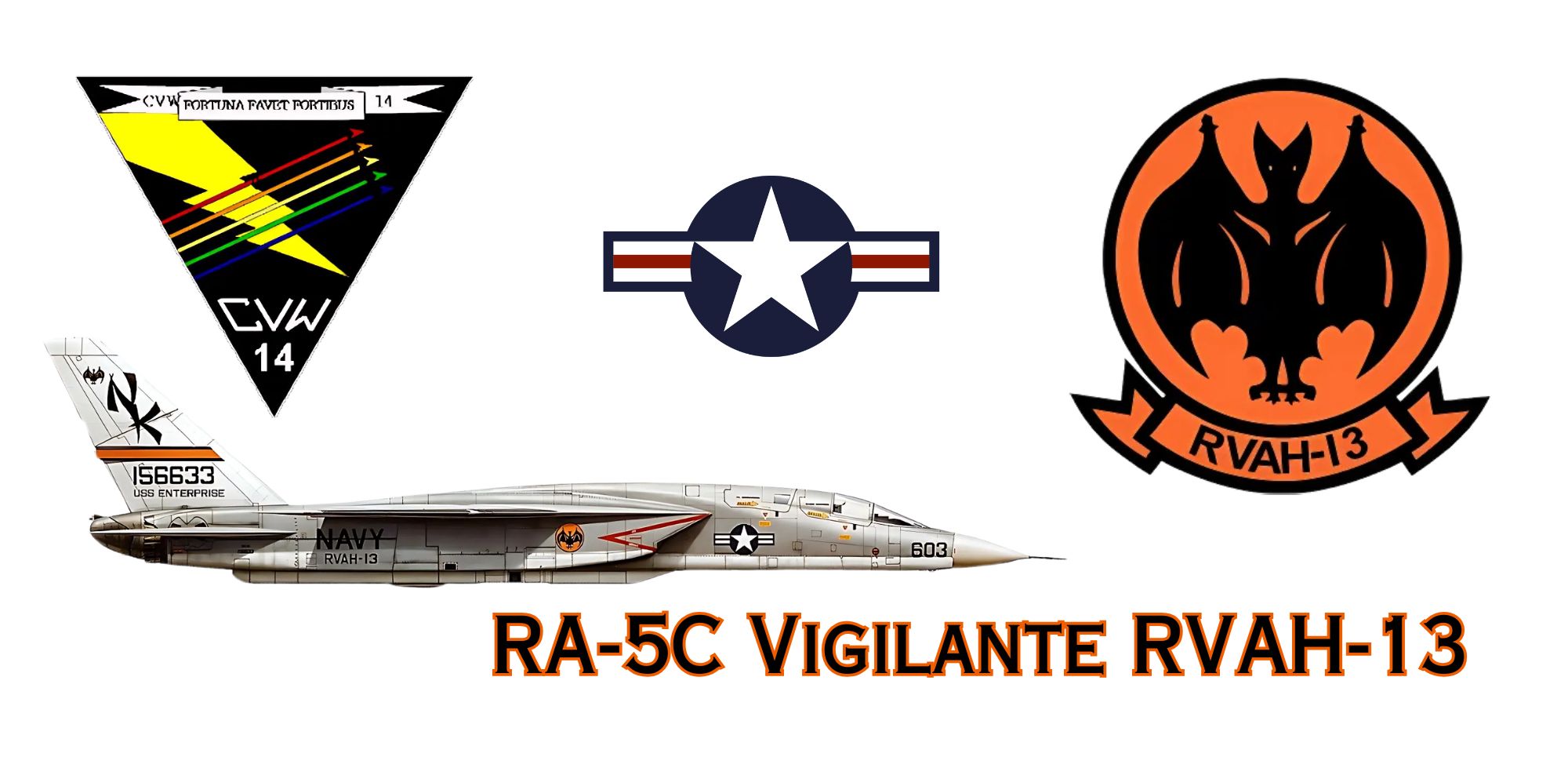 RA-5C Vigilante FVAH-13 mug