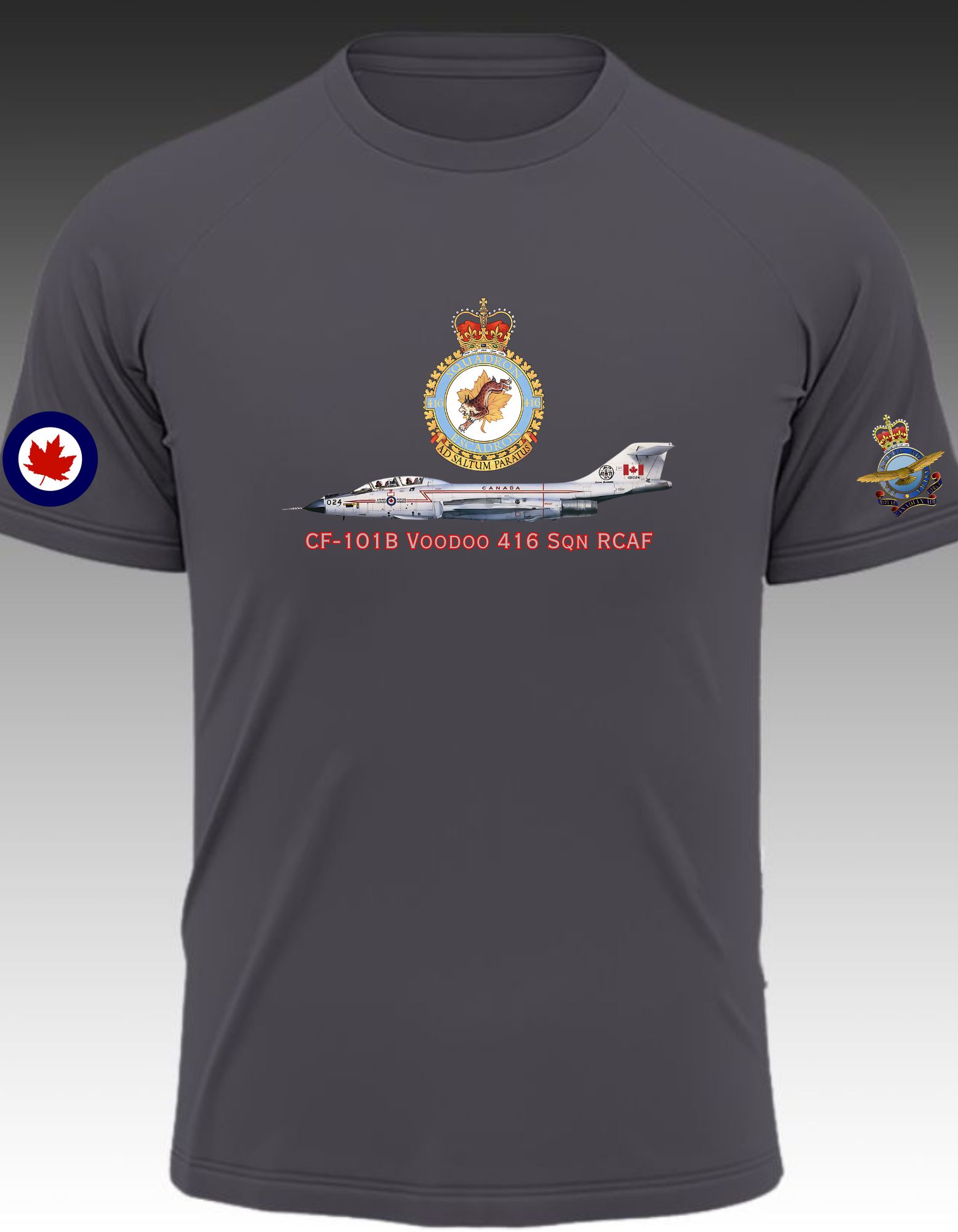 CF-101B Voodoo 416 Sqn RCAF