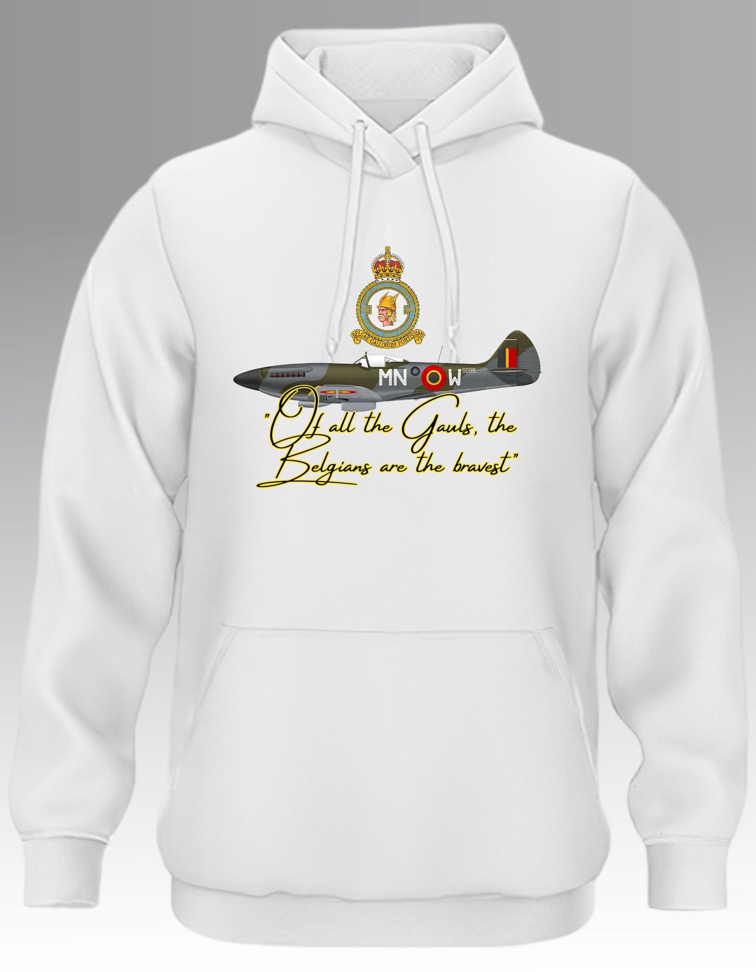 Of All the Gauls.. Hoodie