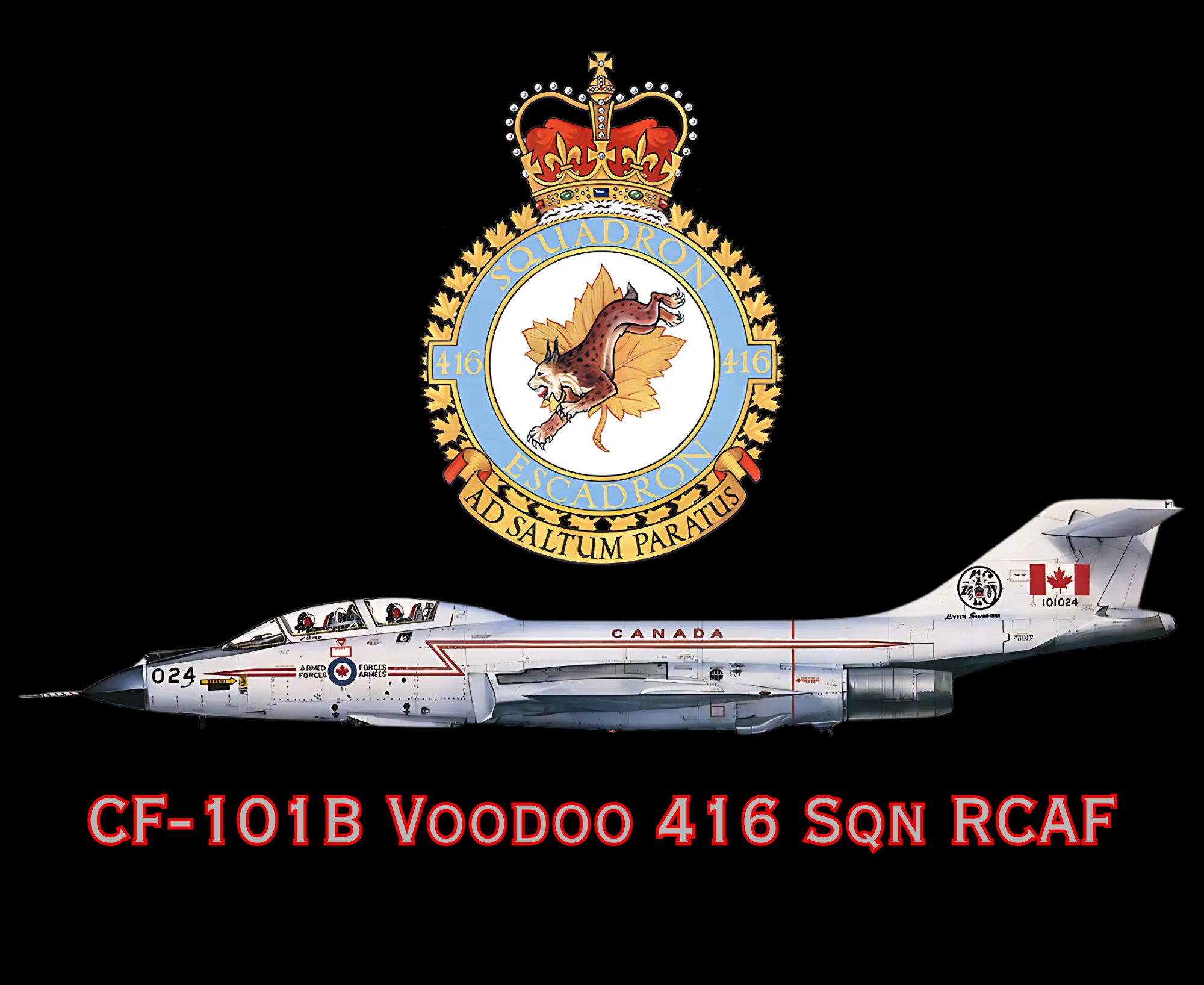 CF-101B Voodoo 416 Sqn RCAF mouse pad