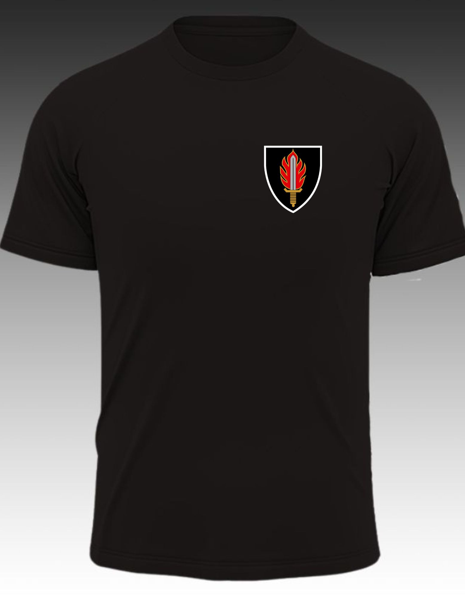 Army Intelligence School