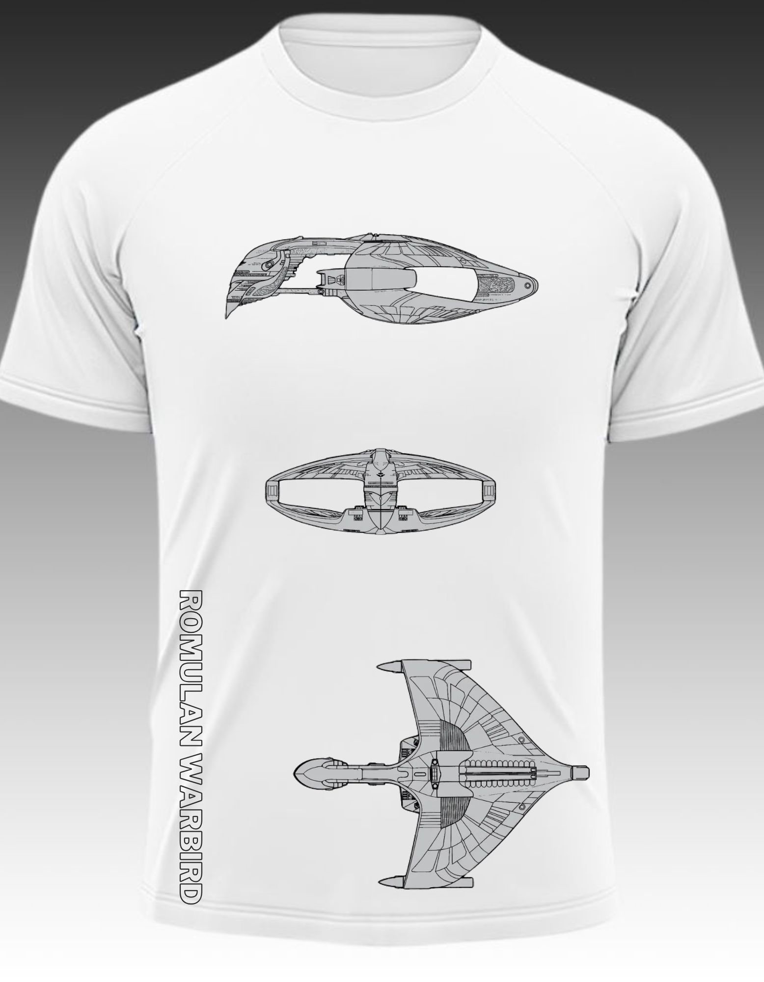 Romulan Warbird