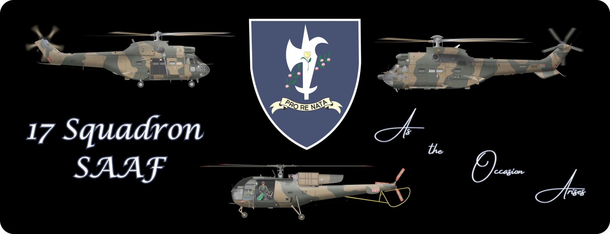 17 Sqn Desk pad