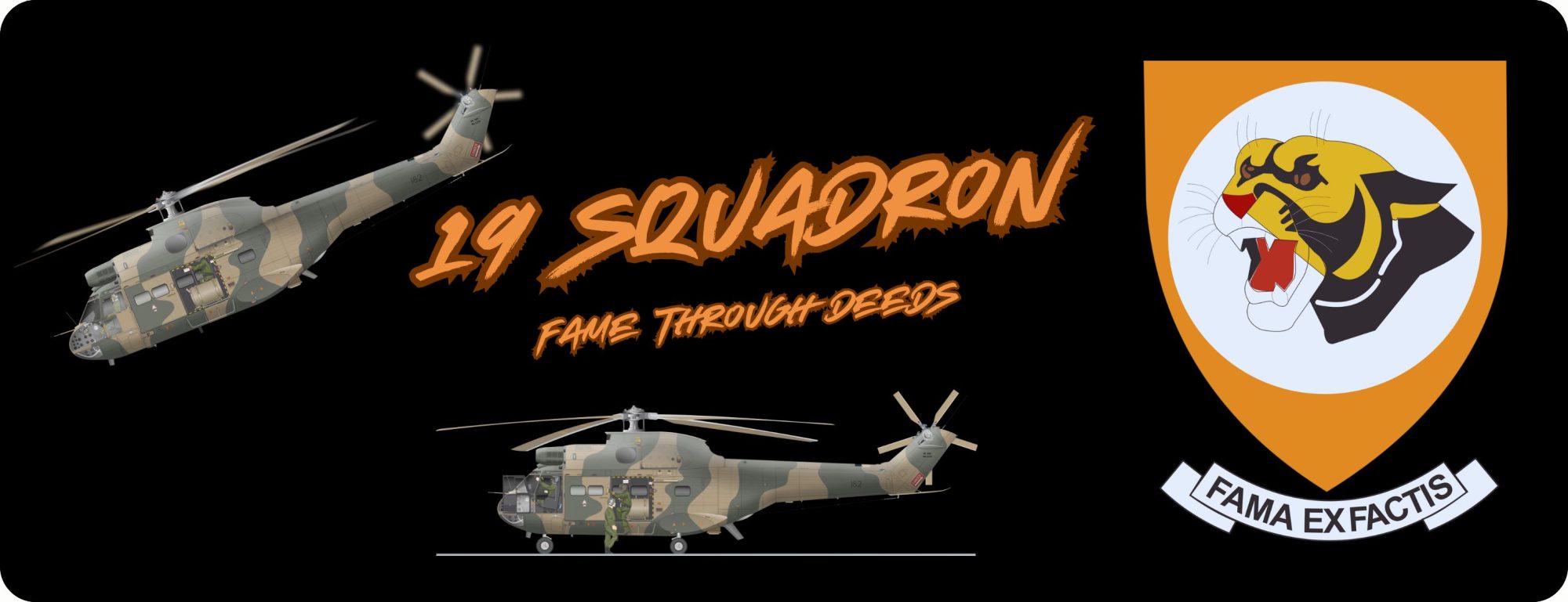 19 Sqn Desk pad
