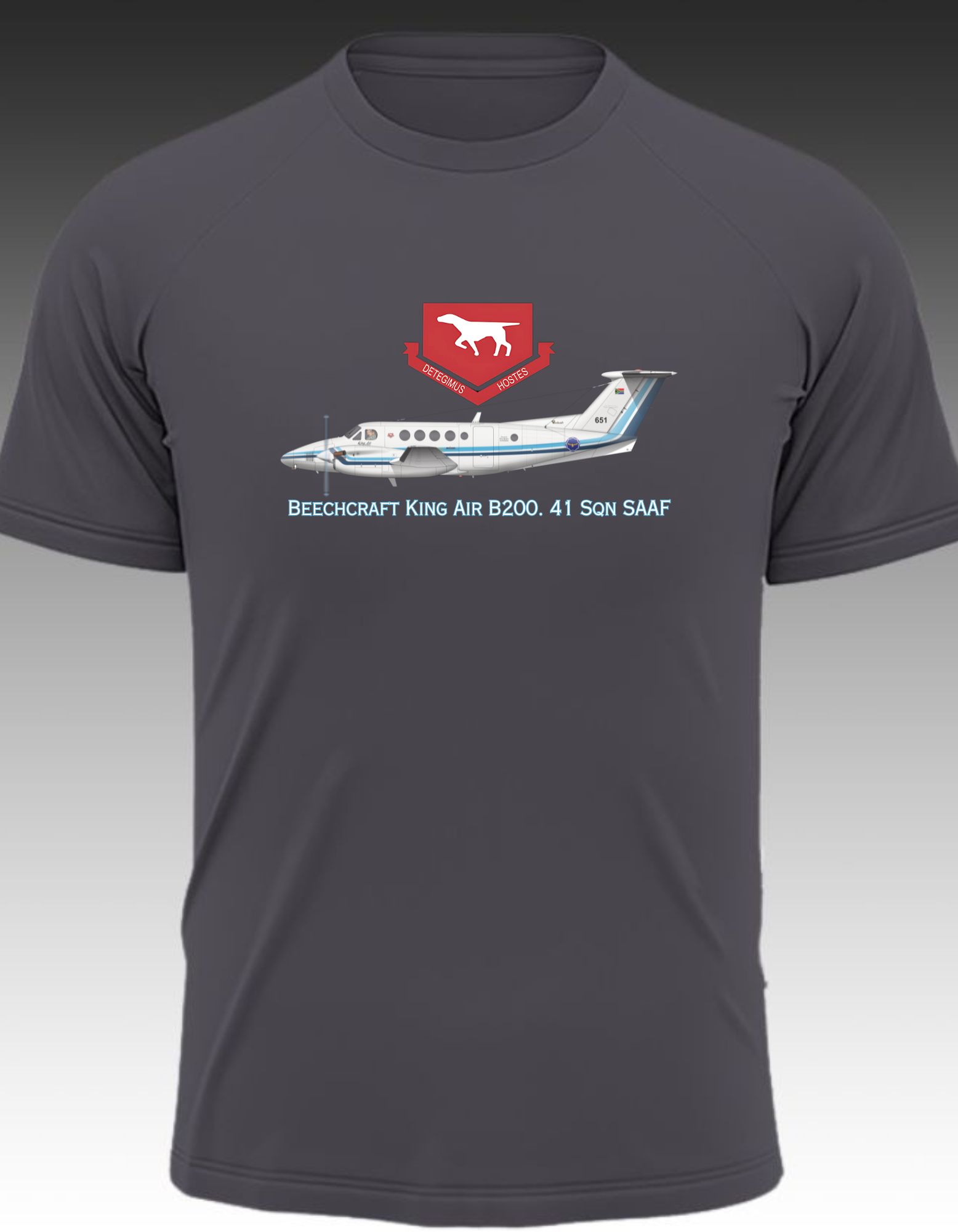 Beechcraft King Air B200. 41 Sqn SAAF