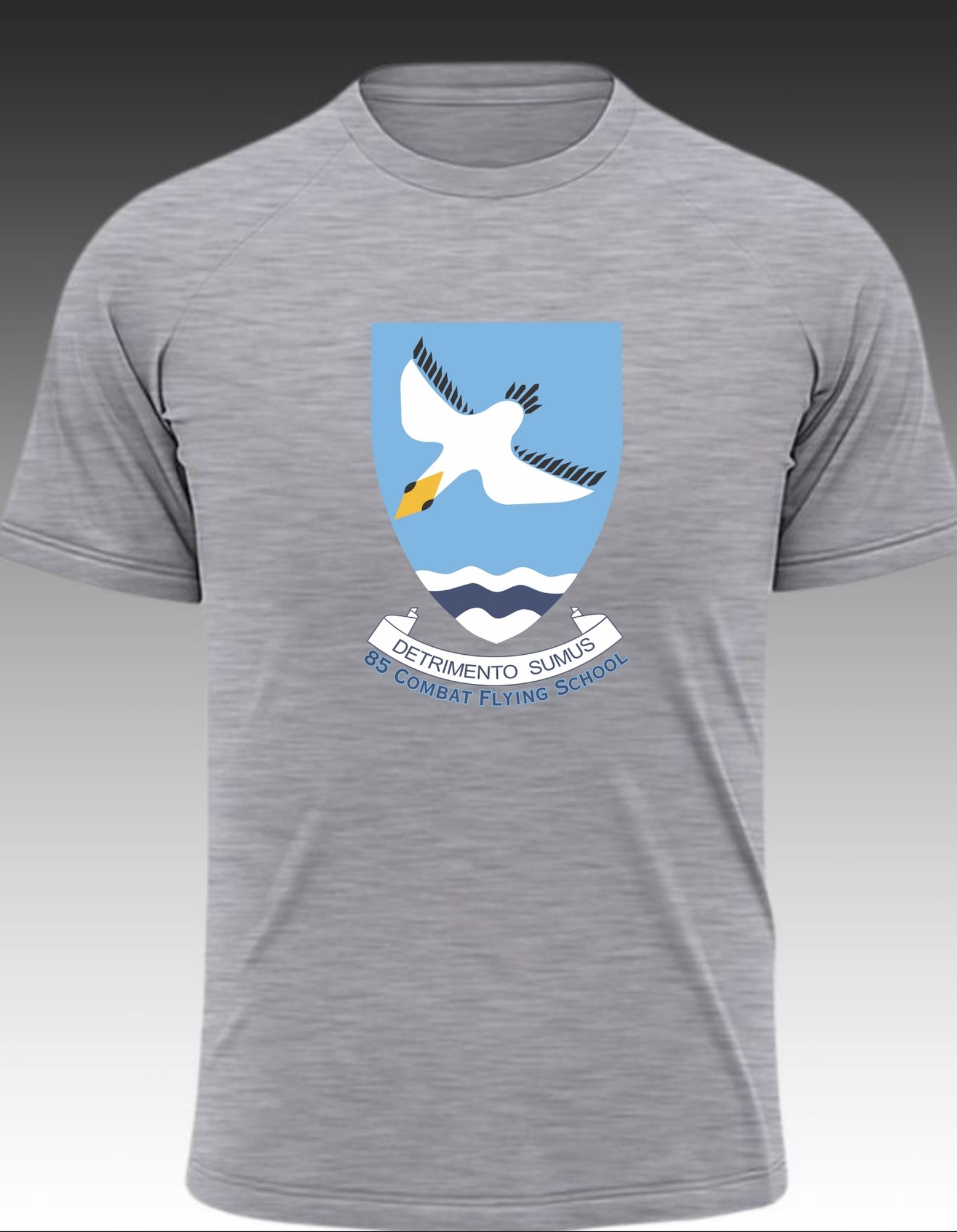 85 Combat Flying School