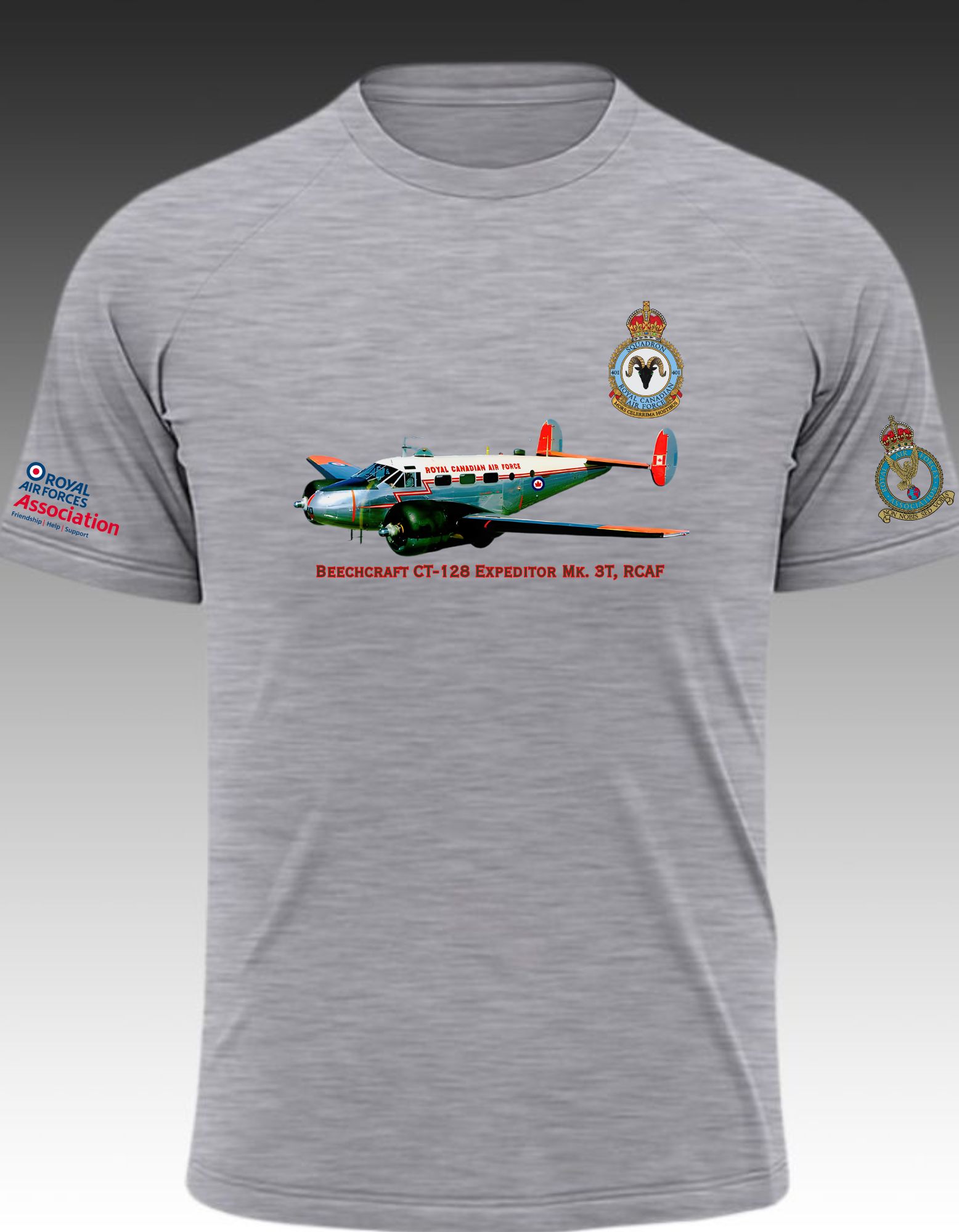 RAFA Beechcraft CT-128 Expeditor Mk. 3T, RCAF