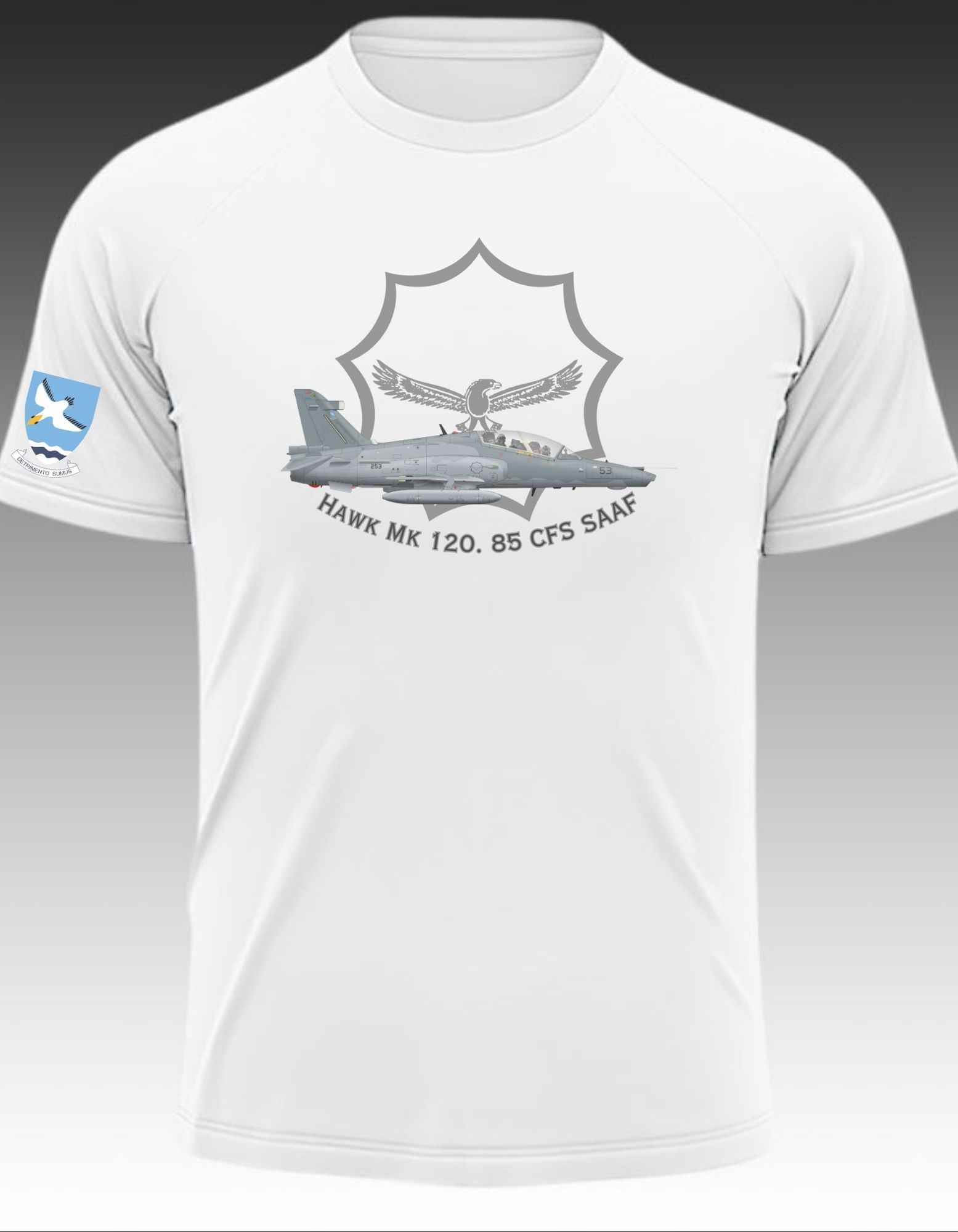 Hawk Mk 120. 85 CFS SAAF Low viz