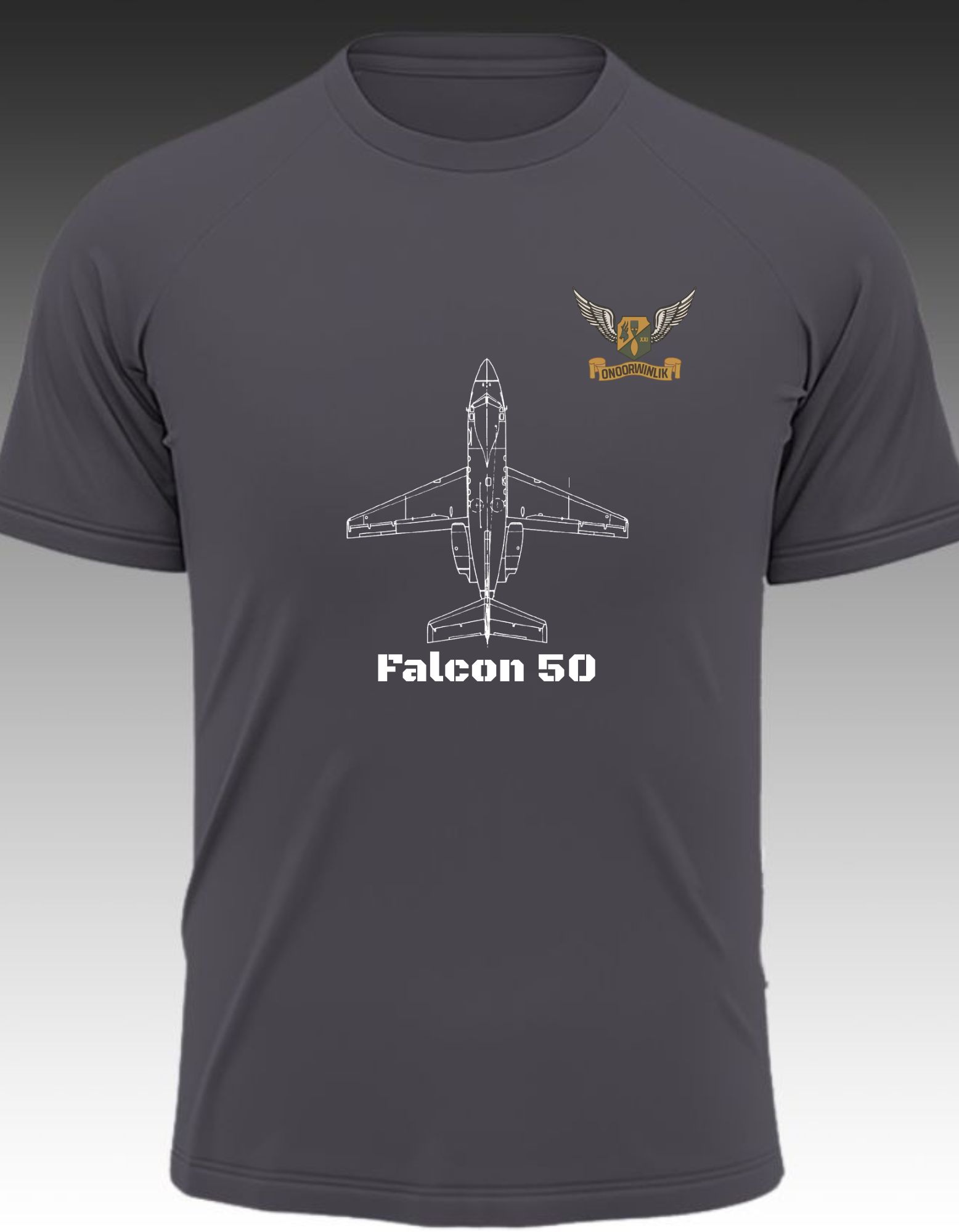 21 Sqn Falcon 50 Blueprint