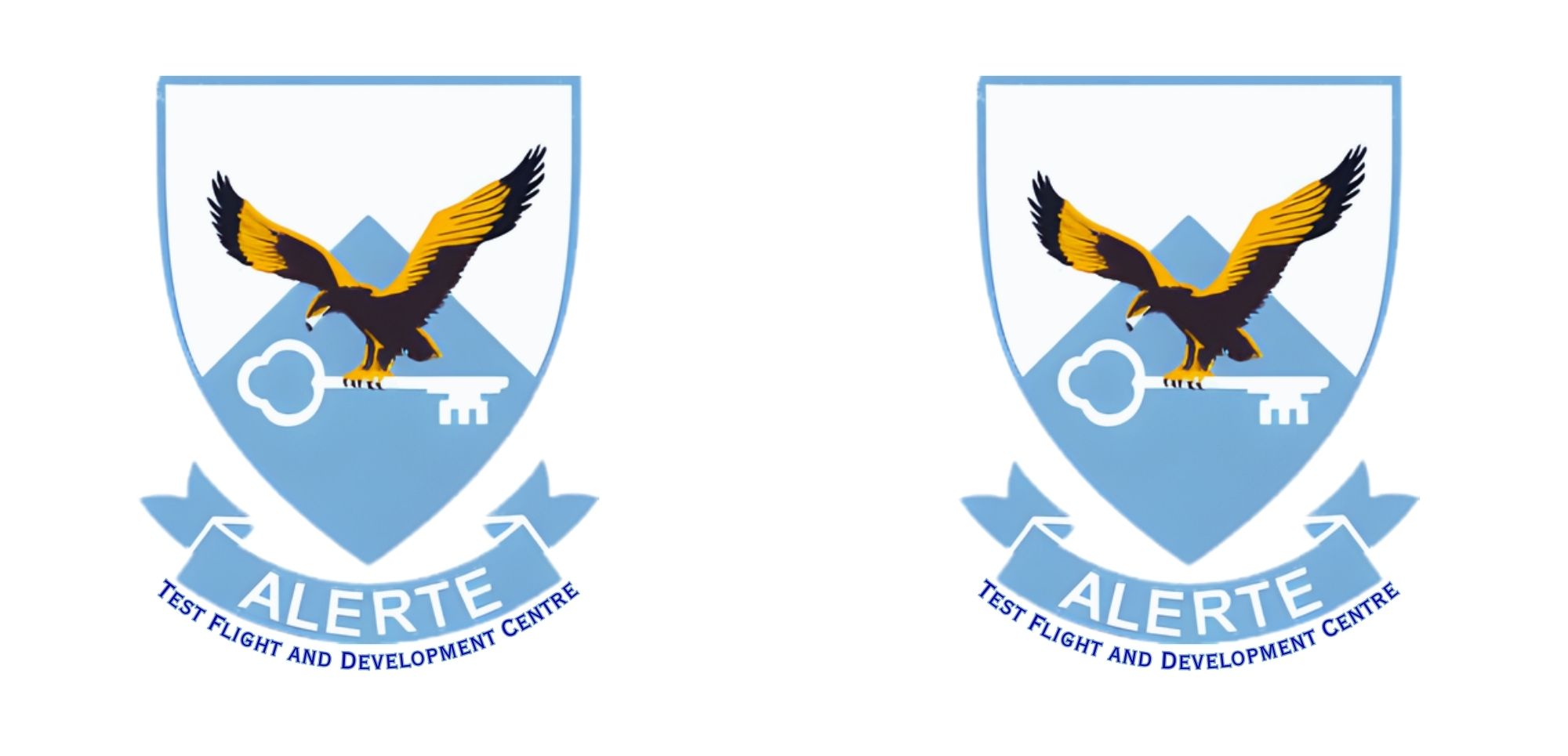 Test Flight and Development Centre mug