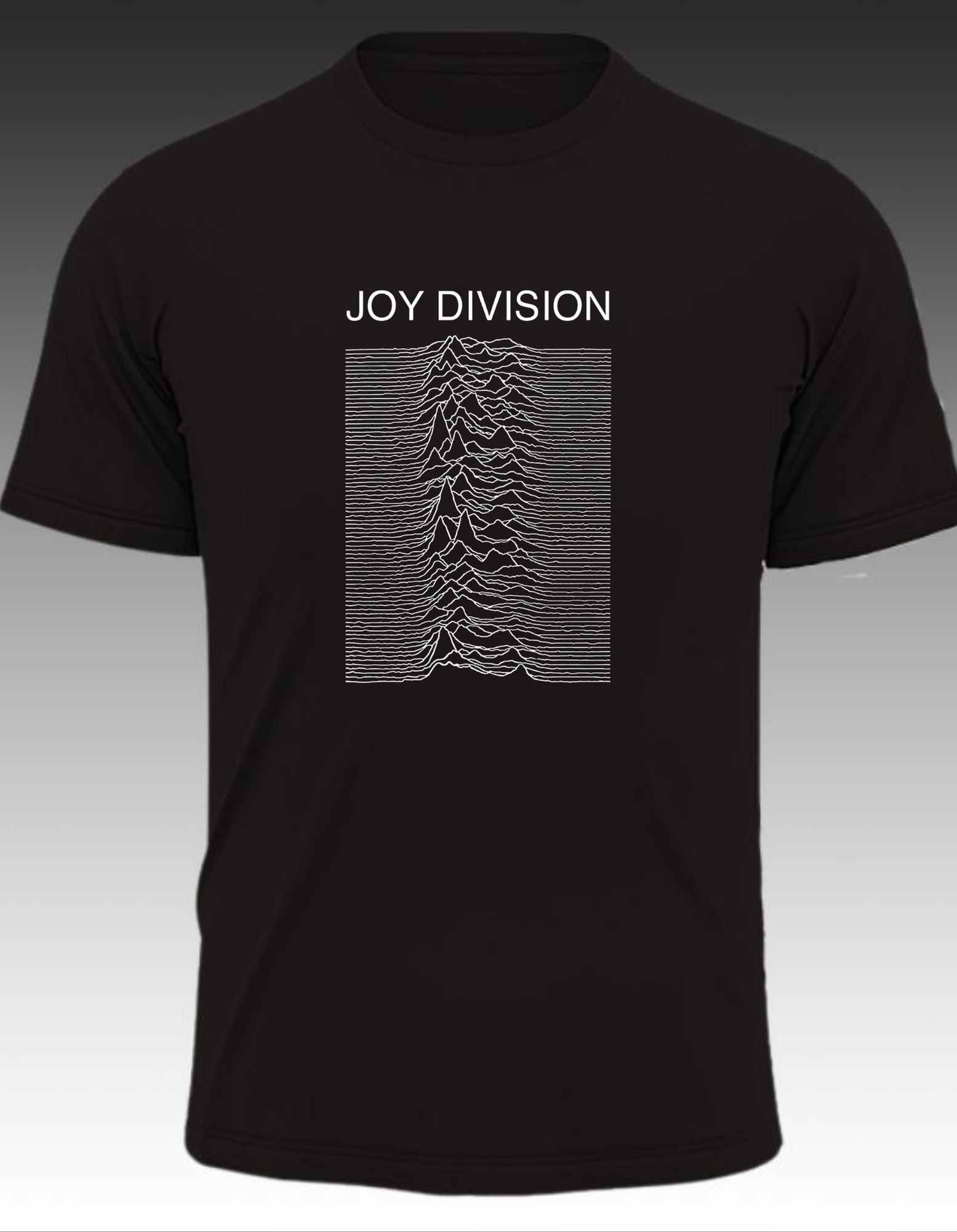 Joy Division