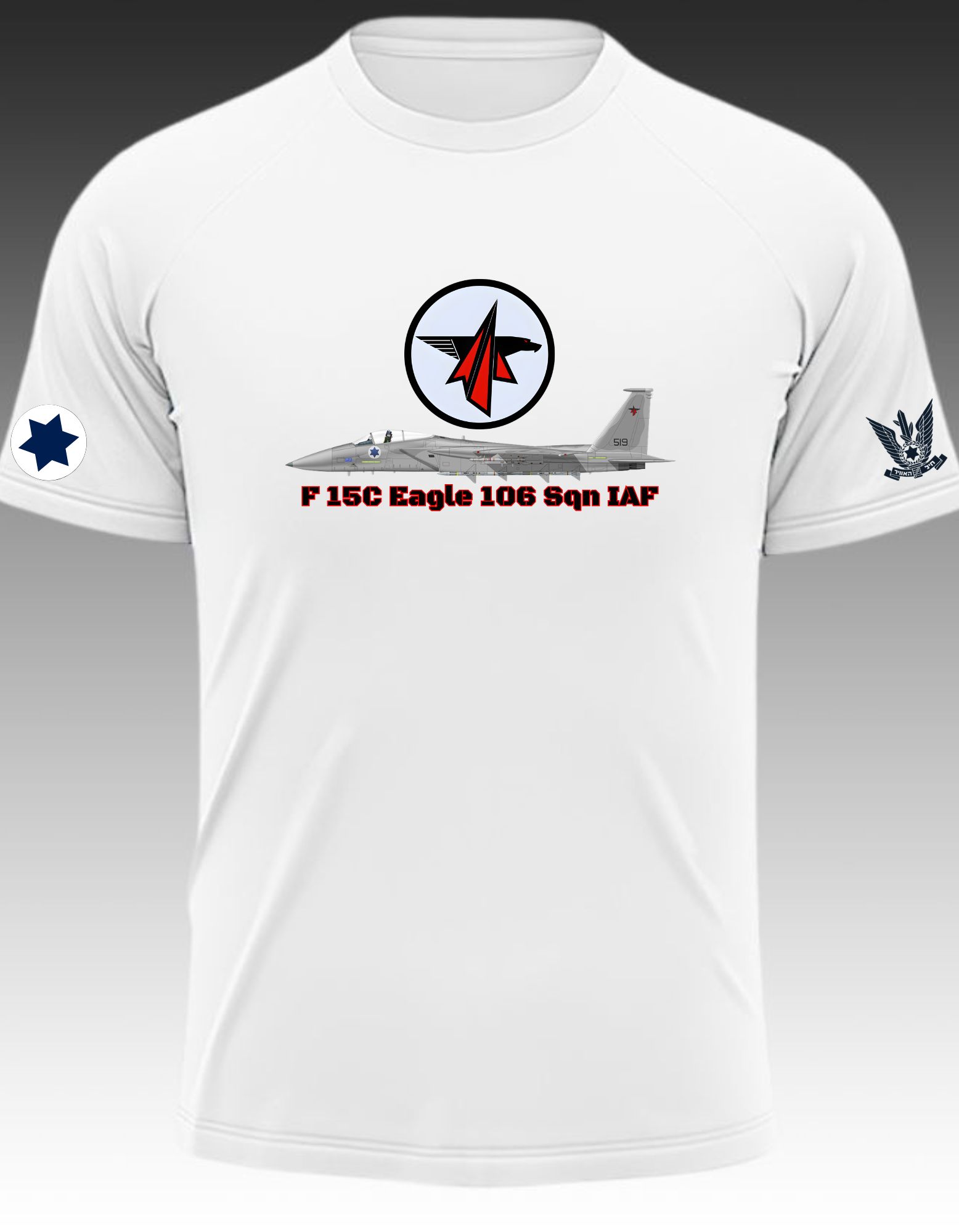 F 15C Eagle 106 Sqn IAF